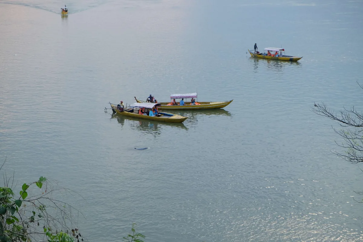 Delfín v Mekongu
