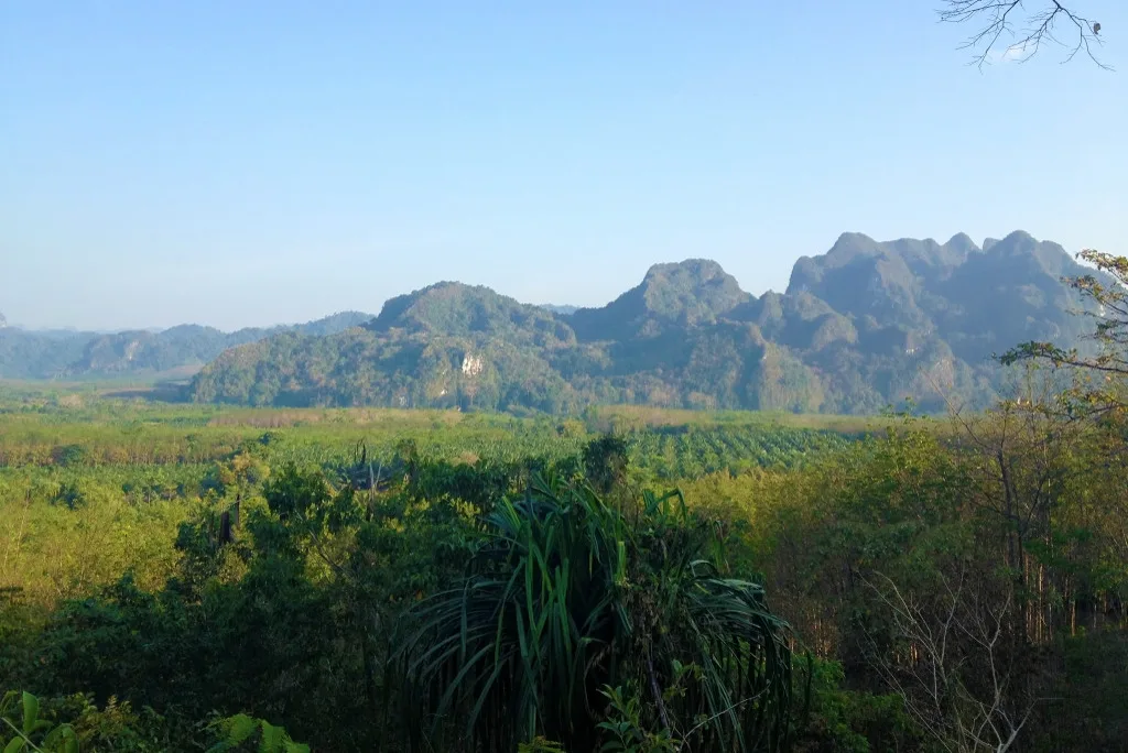 Khao Sok džungle